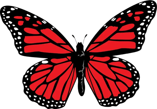 Metamorfosis: "De la Construcción a la Joyería"